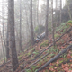 Photo credit: Jackson County Sheriff’s Office